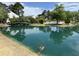 Scenic pond with bridge and surrounding trees, enhancing the community's natural beauty and recreational appeal at 7813 Sandida Ct, North Charleston, SC 29418