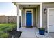 Inviting front porch with a blue door, lush greenery, and a stylish planter adding to the home's appeal at 8038 Regency Elm Dr, North Charleston, SC 29406
