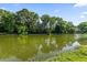 Scenic view of the lake, surrounded by lush greenery at 108 Woodlake Dr, Summerville, SC 29485