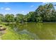 Scenic view of the lake surrounded by lush greenery at 108 Woodlake Dr, Summerville, SC 29485