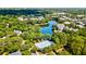 Aerial view of the community pool next to a serene lake, nestled in a mature tree canopy at 1231 Wild Olive Dr, Mount Pleasant, SC 29464