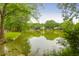Scenic view of a tranquil pond surrounded by lush greenery, offering a serene and picturesque setting at 1394 Center Lake Dr, Mount Pleasant, SC 29464