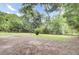 Large backyard space with mature trees and beautiful grass at 1515 Mulberry St, Charleston, SC 29407