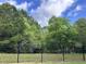 Well-maintained backyard area with black iron fence offers privacy and complements the landscape at 1566 Lindsey Creek Dr, Mount Pleasant, SC 29466