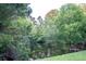 Lush, tranquil backyard view of trees and water provides a private, serene setting at 1566 Lindsey Creek Dr, Mount Pleasant, SC 29466