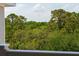 Scenic tree top view from the balcony shows the surrounding lush greenery at 1984 Folly Rd # A310, Charleston, SC 29412
