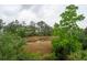 Scenic marsh view surrounded by lush greenery at 2267 N Marsh Dr, Mount Pleasant, SC 29466