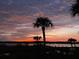 Scenic view of sunset on the water with palm trees silhouetted in the foreground at 2267 N Marsh Dr, Mount Pleasant, SC 29466