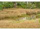 Scenic water view with ducks and verdant marsh grasses at 2267 N Marsh Dr, Mount Pleasant, SC 29466