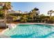 Community pool with a waterslide and tower, surrounded by lush landscaping and palm trees at 2402 Brackish Dr, Mount Pleasant, SC 29466