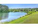 Scenic pond view surrounded by mature trees, lush landscaping, and well-manicured lawn at 2931 Waterleaf Rd, Johns Island, SC 29455