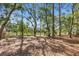 Spacious backyard features lush landscaping and mature trees, offering a private and serene outdoor space at 3052 Seabrook Island Rd, Seabrook Island, SC 29455