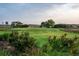 Scenic golf course view with vibrant green grass and surrounding trees at 4121 Golf Cottage Ln, Johns Island, SC 29455