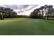 Expansive green golf course with mature trees and a flag in the distance at 4121 Golf Cottage Ln, Johns Island, SC 29455