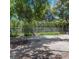An outdoor area with gravel and a chain link fence, bordered by lush greenery and trees at 81 Rutledge Ave, Charleston, SC 29401