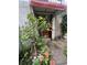 Charming home entrance with a potted citrus tree and a detailed wooden door at 81 Rutledge Ave, Charleston, SC 29401