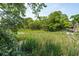 Scenic waterfront view with trees and marsh grass, showcasing a peaceful natural setting at 1012 E Erie Ave, Folly Beach, SC 29439