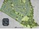 Explore Carolina Bay with this detailed map showcasing lot locations and neighborhood layout at 1088 Deep Gap Rd, Ridgeville, SC 29472