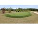 An outdoor putting green area is landscaped with native plants and includes flag poles at 133 Headwater Dr, Summerville, SC 29486