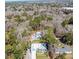 Aerial view of homes surrounded by lush greenery, showcasing the neighborhood's tranquil setting at 1543 Scott Hill Rd, James Island, SC 29412