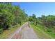 Gravel walking trail through lush, green trees and vegetation on a sunny day at 327 Megans Bay Ln, Charleston, SC 29492