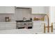 A stainless steel stove beneath a range hood in a kitchen at 3285 Johnstowne St, Johns Island, SC 29455