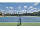 Well maintained tennis courts at a new community, perfect for recreational play at 350 Dahlia Row Dr, Summerville, SC 29486