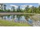 Scenic view of a community pond reflecting trees and sky, with algae and grassy edges at 415 W Respite Ln, Summerville, SC 29483