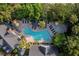 Aerial view showcasing a beautiful pool with lounging chairs, umbrellas, and surrounding lush vegetation at 45 Sycamore Ave # 611, Charleston, SC 29407