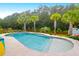 Inviting backyard pool surrounded by palm trees and decorative flowers at 5509 Alpine Dr, Summerville, SC 29483