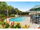 Backyard pool and patio area framed by palm trees and flowering plants at 5509 Alpine Dr, Summerville, SC 29483