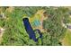 Overhead shot of home with pond, private dock, and lush trees creating a secluded retreat at 5519 Jefferies Hwy, Walterboro, SC 29488