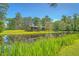 Charming cabin-style home situated by a serene pond, surrounded by mature trees and nature at 5519 Jefferies Hwy, Walterboro, SC 29488