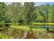Scenic pond view featuring a small island with a bench, lush greenery, and a charming dock at 5519 Jefferies Hwy, Walterboro, SC 29488