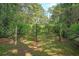Rustic vineyard with lush greenery and natural wood post supports in a shady environment at 5519 Jefferies Hwy, Walterboro, SC 29488