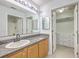 Well-lit bathroom with a single sink vanity and access to a closet at 7300 Suncatcher Dr, Hanahan, SC 29410