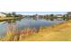 Scenic view overlooking the pond with tall grass lining the bank and distant fountain at 109 Billowing Sails St, Summerville, SC 29486