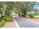 Scenic street view featuring mature trees with Spanish moss, leading to a charming home at 115 Golfview Ln, Summerville, SC 29485