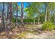 View of home's exterior and backyard through a treed and shaded green space at 1179 Holly Bend Dr, Mount Pleasant, SC 29466