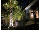 Beautiful backyard at night with professional landscape lighting enhancing the outdoor living space at 1588 Paradise Lake Dr, Mount Pleasant, SC 29464