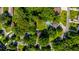Aerial view of a property with a private back yard pool surrounded by lush greenery at 210 Froman Dr, Summerville, SC 29483