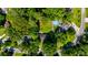 Aerial view of a property featuring a spacious backyard, swimming pool, lush greenery, and surrounding neighborhood at 210 Froman Dr, Summerville, SC 29483