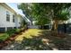 Grassy backyard with lush trees and a privacy fence offering a serene outdoor space at 2242 Dewees Creek Dr, Mount Pleasant, SC 29466