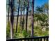 Scenic view of marsh from wooded area with trees and wooden boardwalk at 225 Slipper Shell Ct, Mount Pleasant, SC 29464