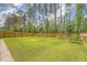 Expansive backyard featuring lush green lawn and mature trees at 227 Spectrum Rd, Summerville, SC 29486