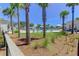 A relaxing view of the community pool area with palm trees, lounge chairs, and shaded umbrellas at 2292 Skyler Dr, Mount Pleasant, SC 29466
