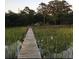 Picturesque view of a wooden dock leading into tranquil waters, surrounded by tall grasses and lush greenery at 231 Bayview Dr, Mount Pleasant, SC 29464