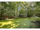 A serene pond covered in duckweed is surrounded by lush trees providing a unique and natural view at 2418 Castlereagh Rd, Charleston, SC 29414