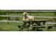 Goat rests on a picnic table in an outdoor setting, offering a touch of rustic charm and whimsy at 2470 Breakaway Trl, Johns Island, SC 29455