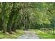 Scenic pathway lined with mature trees at 2470 Breakaway Trl, Johns Island, SC 29455